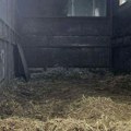 Niška policija zaplenila skoro pola tone duvana i 60.000 cigareta, muškarac uhapšen