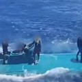 Drama usred okeana! Krijumčari prevozili narkotike u podmornici, potom stigla policija: Otkriven snimak jezivog hapšenja…