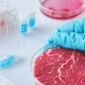 SAD: Teksas zabranjuje prodaju mesa iz laboratorije