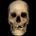 Тест ДНК из кости могао би да преобликује историју старог Египта