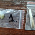 Profesor kragujevačkog fakulteta priveden zbog posedovanja biljne materije za koju se sumnja da je marihuana