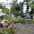 U Požarevcu saniraju štete od nevremena koje je taj grad zahvatilo za vikend