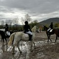 Elegancija i snaga na „Kupu kneza Mihaila“ – konjički sport se vratio u Niš posle četvrt veka