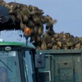 Završena kampanja prerade šećerne repe
