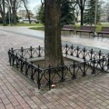 Нове гвоздене ограде грађане Ниша коштале преко 28.000 евра