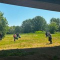 Nišlije „zavrnule rukave“ i čistili otpad, poručuju da je odgovornost na svima – od pojedinca do sistema