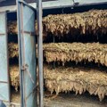 Полиција ухапсила осумњичену за шверц 767 боксова цигарета и око 50 килограма дувана