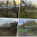Hitno se prodaje plac pored vinarije Šapat u Starom Slankamenu! Evo koliko košta i za šta se može iskoristiti