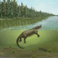 Pre 168 miliona godina, čudan srodnik sisara živeo je u Kini, zajedno sa dinosaurima