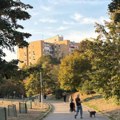 Pretežno sunčano, temperatura do 23 stepena