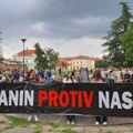 Protest u Zrenjaninu: „Linglong je metafora nasilja nad prirodom i identitetom“