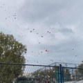 Балони и стабла јапанске трешње у знак сећања на убијене у "Рибникару"