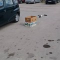 Bolesni golubovi ostavljeni na pijaci, građani strahuju od zaraze