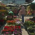 Cvetna pijaca sutra i u subotu na platou ispred SPENS-a