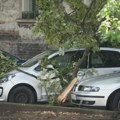 Drvo palo na kolovoz a grane na dostavni kombi u centru Niša, obustavljen saobraćaj u toj ulici