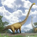 Na Tajlandu otkriven novi dinosaurus dug 20 metara