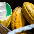 Možete li da pogodite čija je zastava? Ubedljivi lider u proizvodnji kakao zrna, sa 2,2 miliona tona