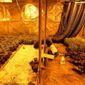 Srbi "pali" zbog marihuane u Nemačkoj: Više od 1.000 sadnica držali u praznom bazenu, uhapšeni i Nemci