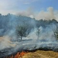 I danas požari u okolini Leskovca: Gori kod Bunuškog Čiflluka, Oraovice i Slavujevca