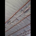 Alarmantno stanje škole u Karanu (VIDEO)
