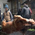 Prvi maj na ivanjičkim brdima – praznik prirode, druženja i tradicije (VIDEO)