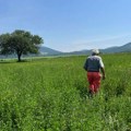 Poljoprivreda i Srbija: Od ‘žitnice Evrope’ do sve manje gazdinstava