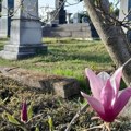 Predviđena obnova 18 zaštićenih spomenika na grobljima u Novom Sadu i Stepanovićevu