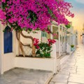 Zašto turisti izbegavaju Santorini? „Broj dolazaka će opasti za 25%“