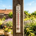 Toplotni talas ne popušta: Kragujevac u pripravnosti zbog visokih temperatura i požara