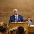 Mandić: Nema većine za moju smenu