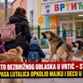 Krenula sa decom u vrtić, pa doživela dramu: čopor pasa lutalica opkolio majku i decu u Priboju