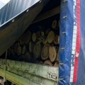 Uhapšeni službenici Šumske uprave zbog krađe