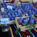 “Šumadijski dani šljive“ od 1. do 3. avgusta u Stragarima: Promocija voćarstva, tradicije i sela
