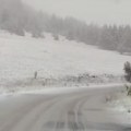 Haos na putevima u Zapadnoj Srbiji Sneg obara drveće, vozači u problemu! Zaustavljen saobraćaj (foto)