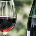 Banatski festival vina u subotu u Zrenjaninu Uz vrhunske kapljice čekaju vas domaće štrudle, salčići, gibanica...