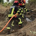 Borba protiv vatrene stihije: Domaće i međunarodne snage brane Srbiju na 35 požarišta