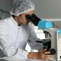 Naučnici programirali bakteriju da napadne tumor. Rezultati eksperimenta na životinjama ulivaju nadu. Ovo bi moglo da promeni…