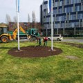 Oko 1.000 novih sadnica za turbo kružni tok Ukrasno šiblje na raskrsnici Fruškogorske i Cara Lazara, nove ruže u grbu grada