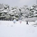 Najjača novembarska snežna oluja u poslednjih pola veka pogodila Južnu Koreju