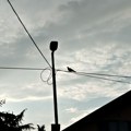 Danas umerno oblačno i suvo vreme, temperatura do 20 stepeni