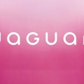 Rebrendiranje Jaguara pošlo po zlu