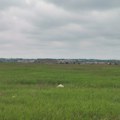 Kragujevac oglasio prodaju 14 građevinskih parcela