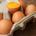 Sirova jaja za doručak? Odgovor lekara na dilemu da li imamo korist ili izazivamo opasnost