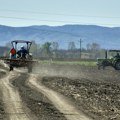 Ova poljoprivredna kultura je sve isplativija: Dok Srbija uvozi velike količine, domaći proizvođači imaju šansu za ozbiljnu…