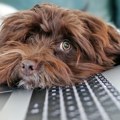 Imate Wi-Fi ruter kod kuće? NSA savetuje da uradite ovu jednostavnu stvar – traje manje od minuta
