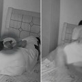 Bezbrižno je spavao, a onda mu se mačka popela na krevet: Skočio je iste sekunde kada je video šta mu je donela