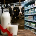 Litar za 25 dinara, u prodavnici ništa jeftinije. Farmeri traže pomoć države jer gube milione zbog smanjenja otkupne cene mleka…