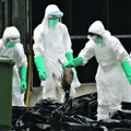 Panika zbog smrtonosnog virusa! Masovno uginuće ptica izazvalo strah od novog širenja zaraze! Na snazi stroge mere