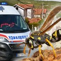 Osam uboda u sekundi! Drama u Nišu: Muškarca napao roj osa, lekari brzo reagovali, to ga je i spasilo