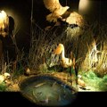 Porodice sa decom rado zastaju ovde: Ova diorama krije 21 životinjsku vrstu